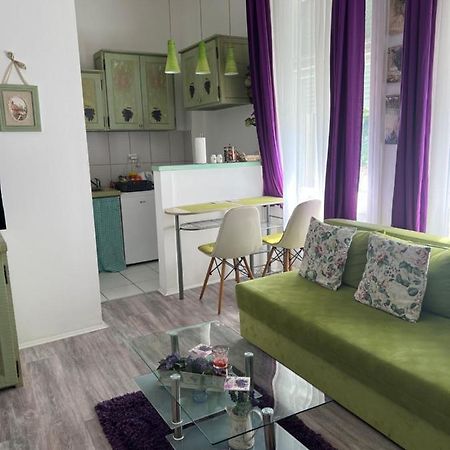 Center Cosy Vintage Apartment Nowy Sad Zewnętrze zdjęcie