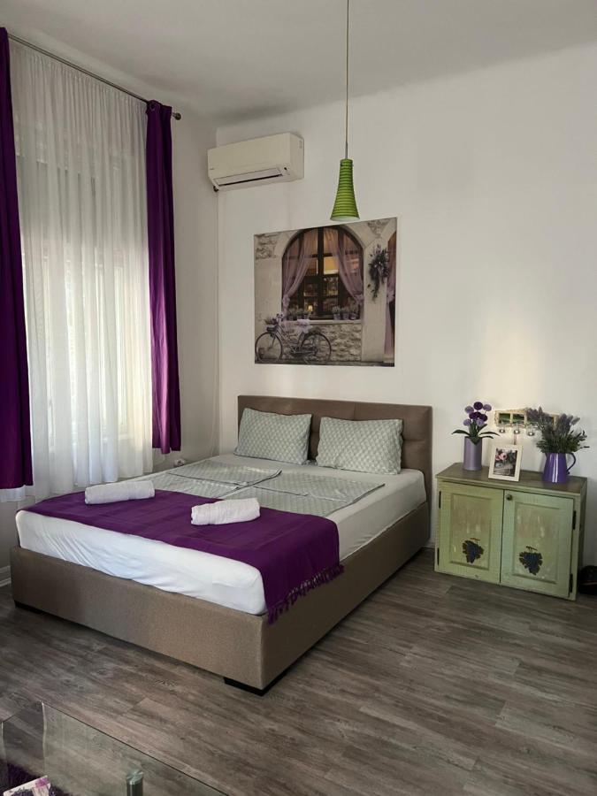 Center Cosy Vintage Apartment Nowy Sad Zewnętrze zdjęcie