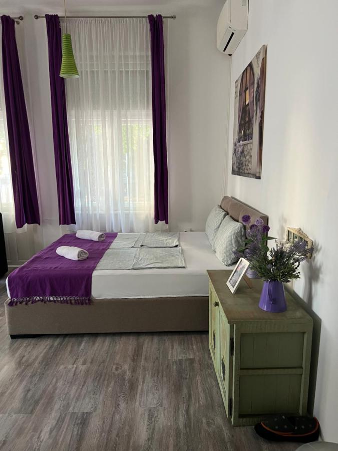 Center Cosy Vintage Apartment Nowy Sad Zewnętrze zdjęcie