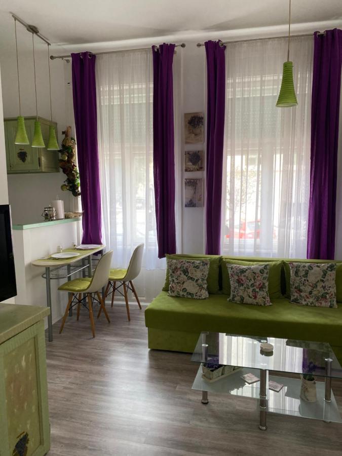 Center Cosy Vintage Apartment Nowy Sad Zewnętrze zdjęcie