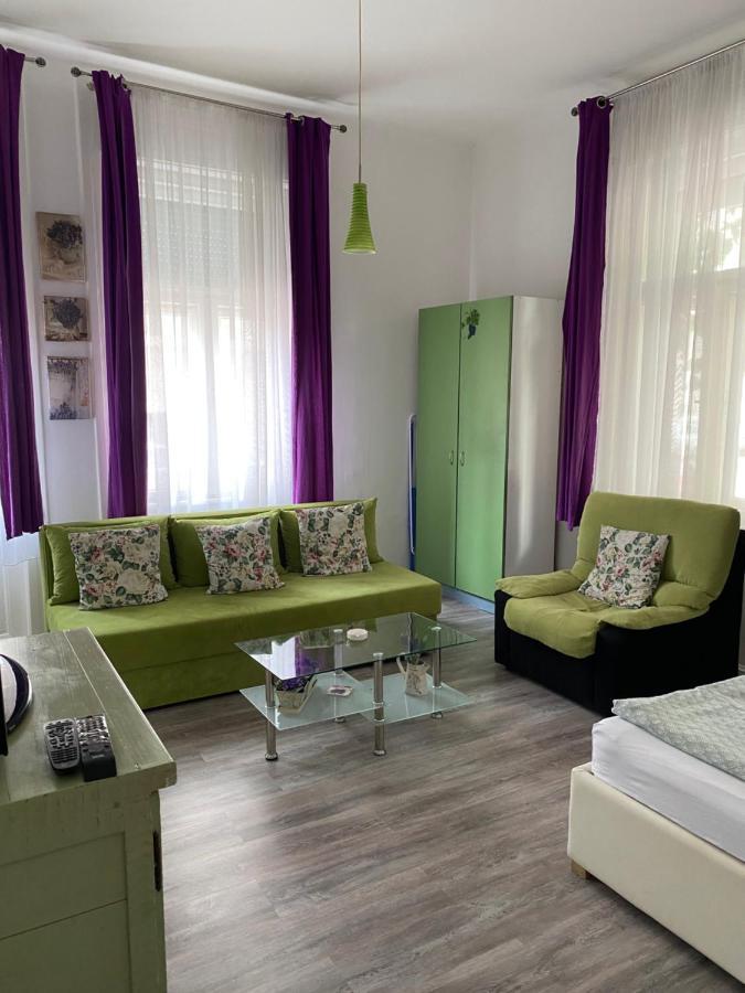 Center Cosy Vintage Apartment Nowy Sad Zewnętrze zdjęcie