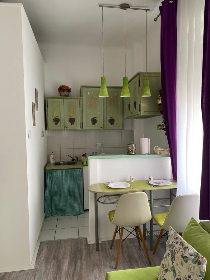 Center Cosy Vintage Apartment Nowy Sad Zewnętrze zdjęcie