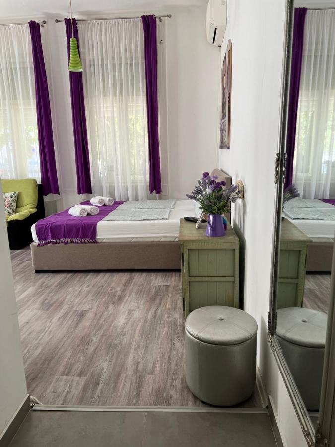 Center Cosy Vintage Apartment Nowy Sad Zewnętrze zdjęcie